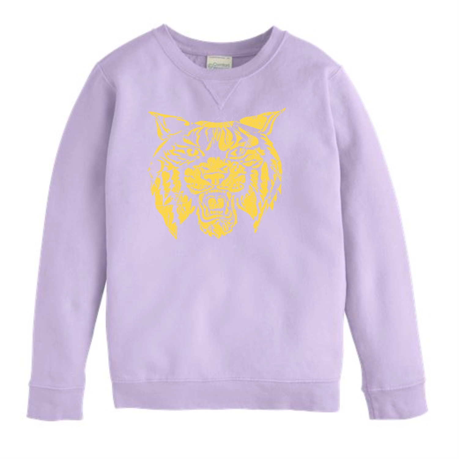Wildcat Face Youth Sweatshirt